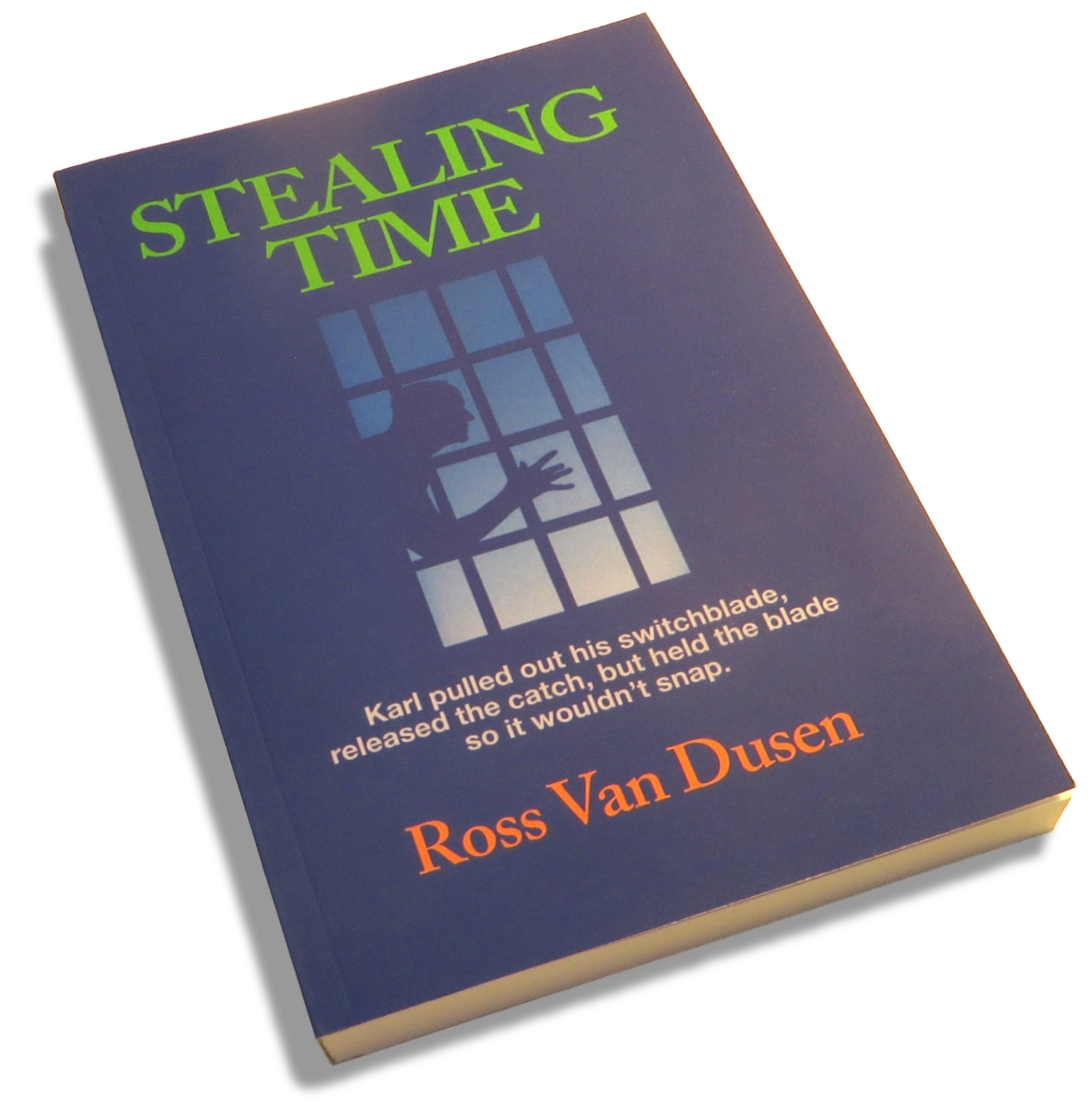 Stealing Time book