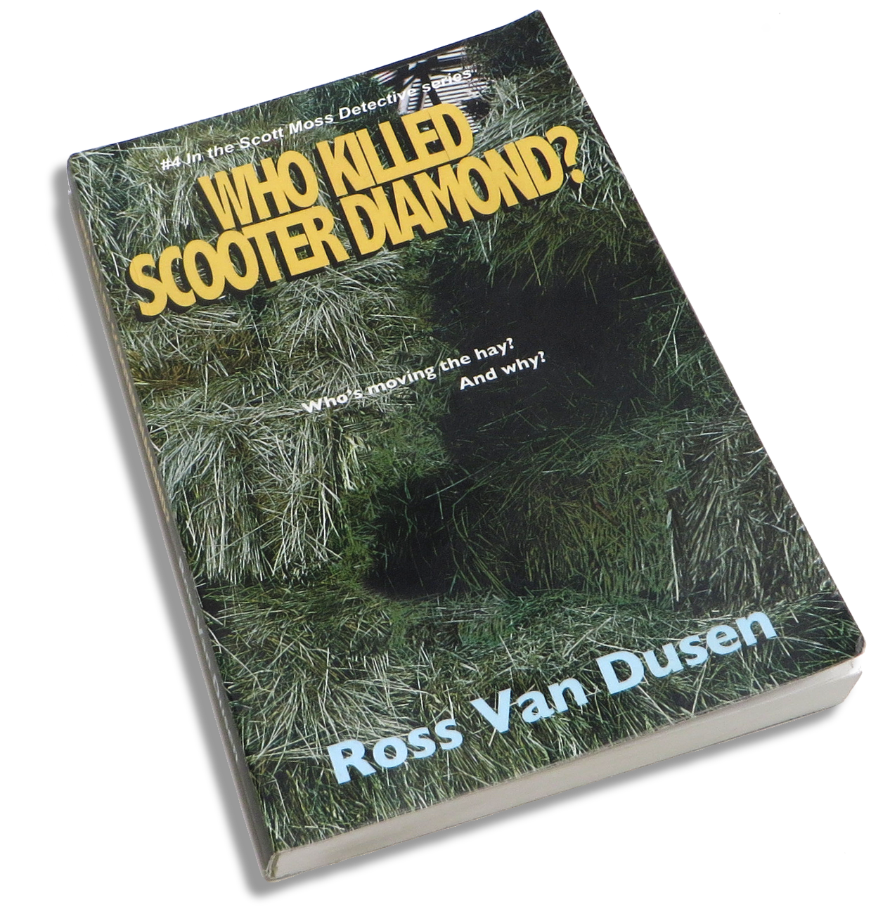 Who Killed Scooter Diamond? book
