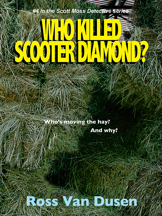 Who Killed Scooter Diamond? book cover