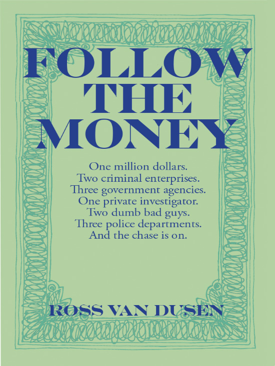Follow the Money book cover