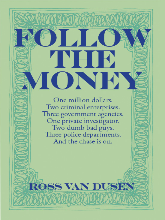 Follow the Money book cover