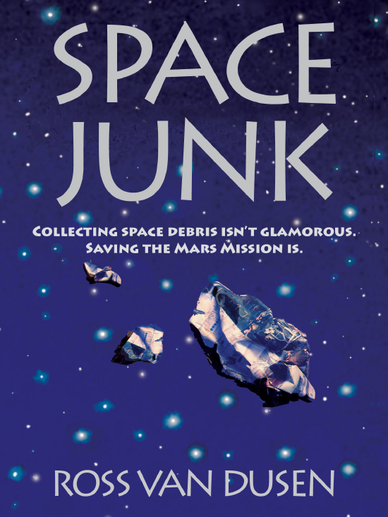 Space Junk book cover