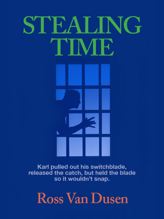Stealing Time book cover
